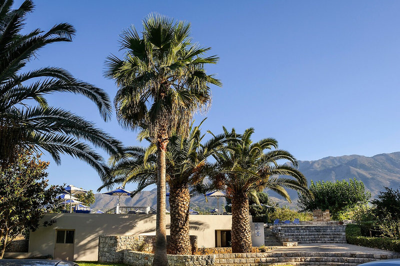 Vantaris Garden 9