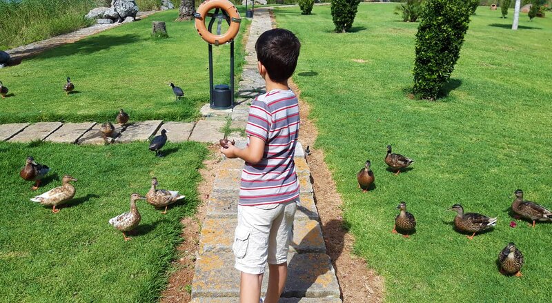 EIX Lagotel Holiday Resort 46