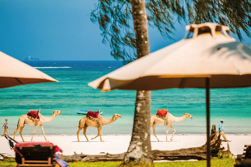 The Sands at Nomad 8