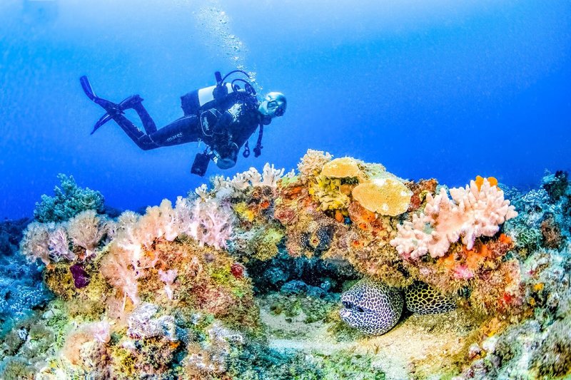 Nomad Beach Resort 35