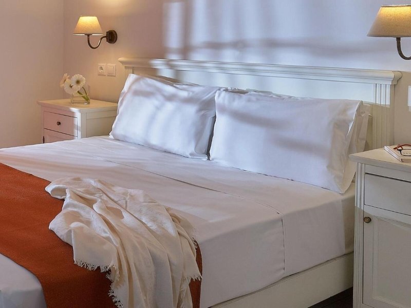 Vasia Resort & Spa  44