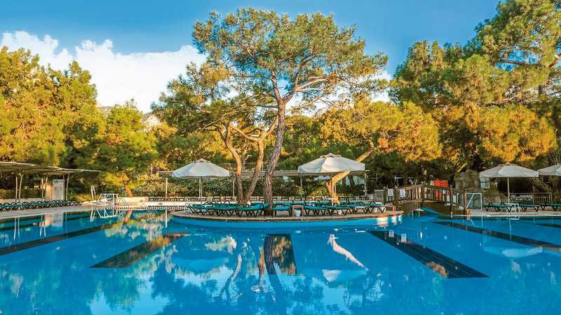 Crystal Prestige Elite 13