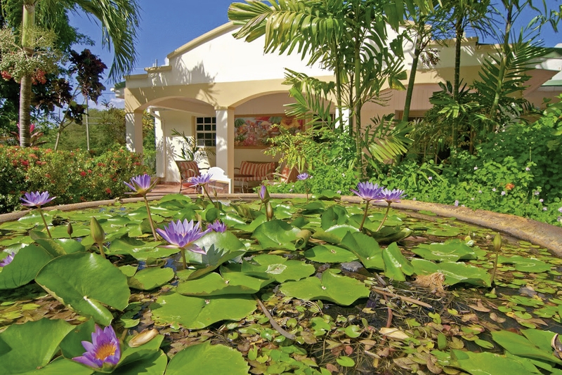 Blue Horizons Garden Resort 19