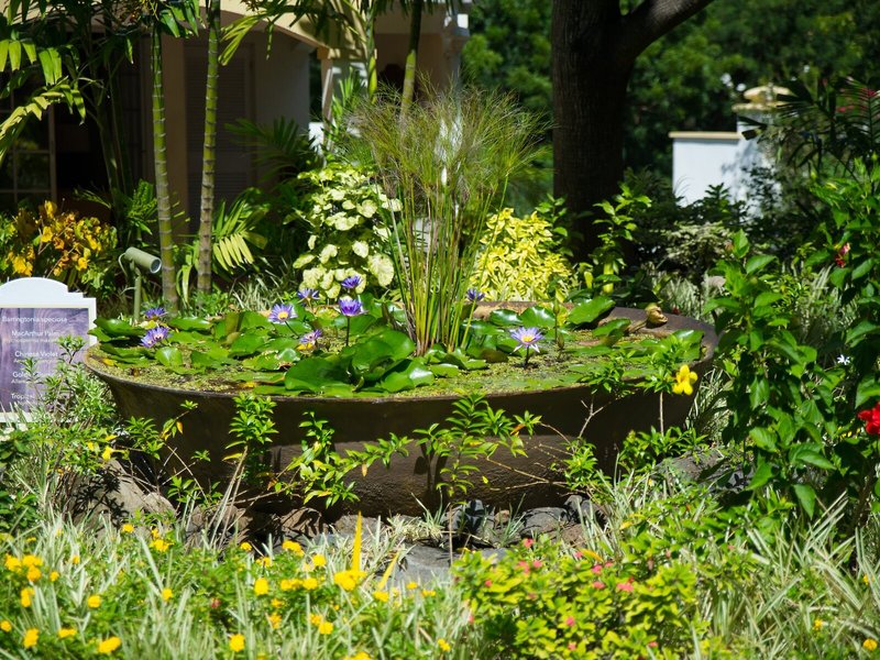 Blue Horizons Garden Resort 6