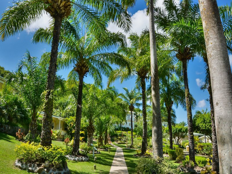 Blue Horizons Garden Resort 7