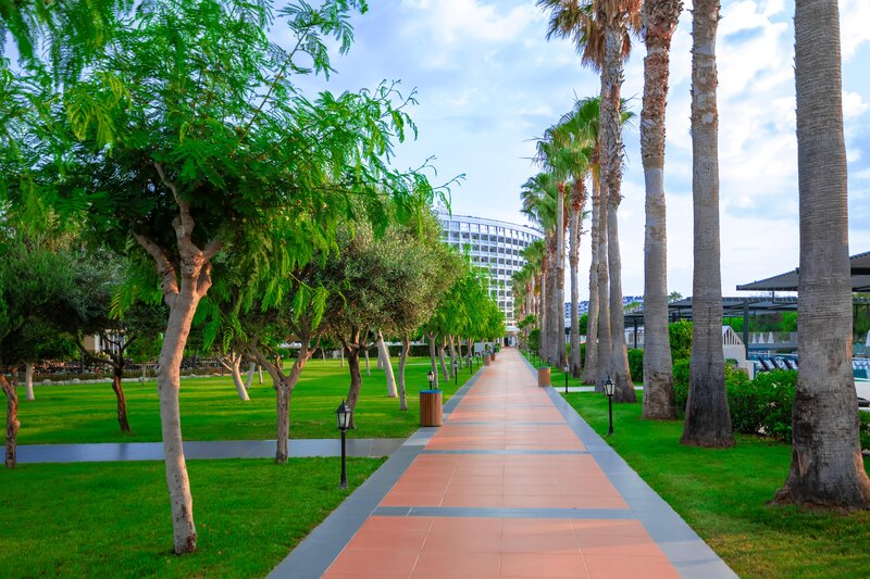 Crystal Centro Resort 44