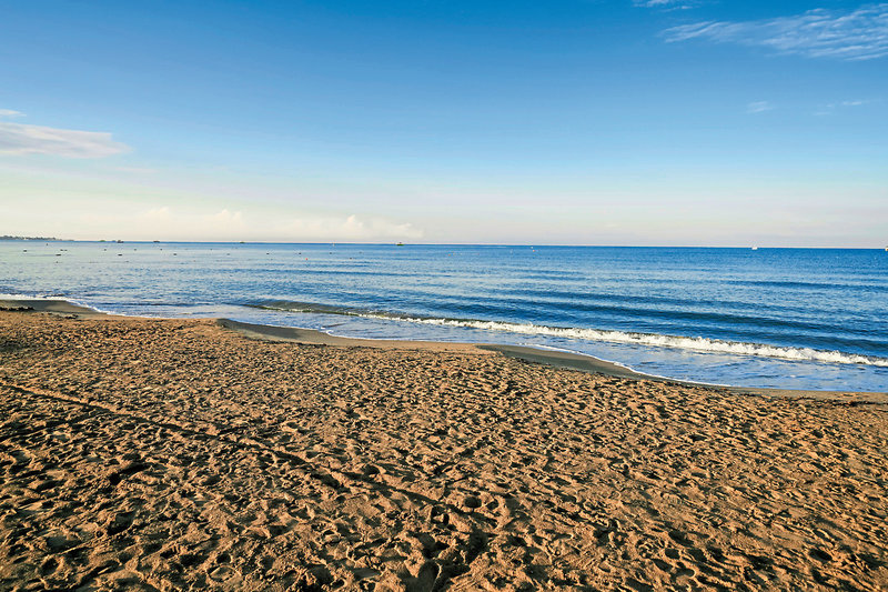 PrimaSol Hane Garden 20