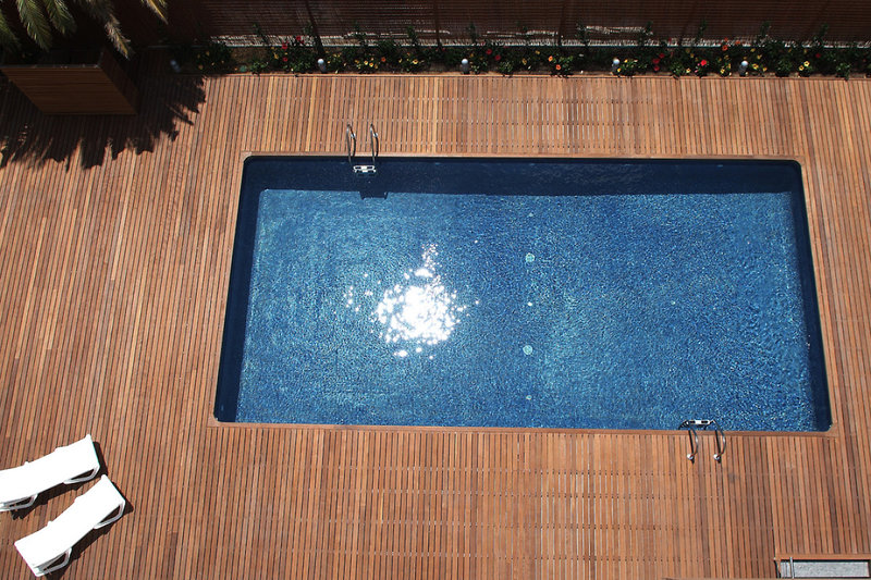 Magnolia 8