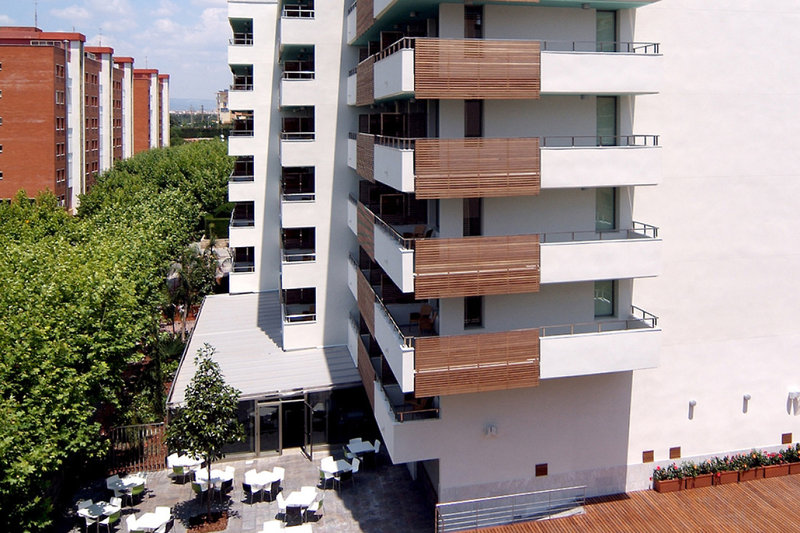 Magnolia 23