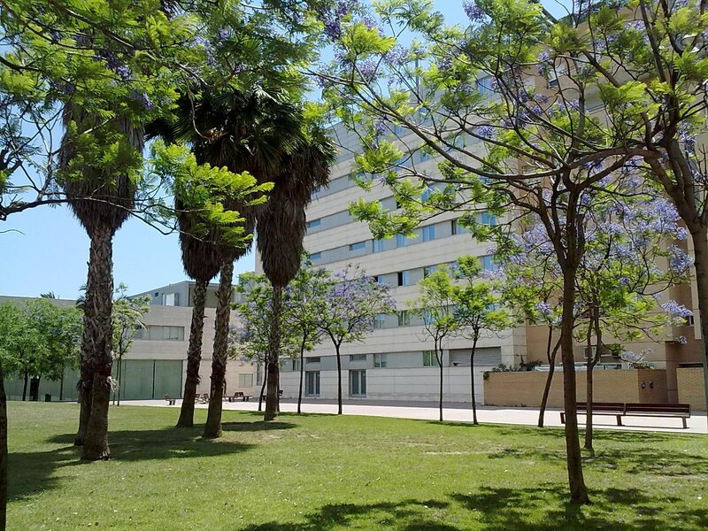 Front Maritim 7