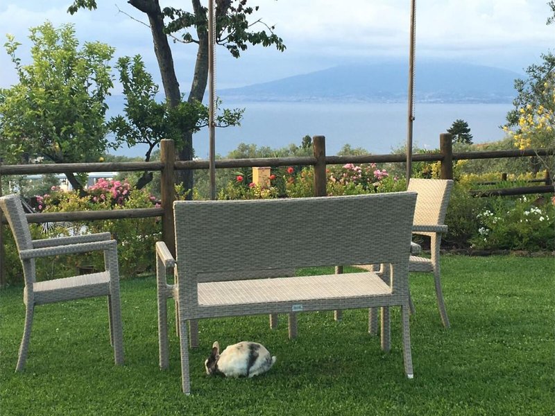 Casale Antonietta 7 - Landscape