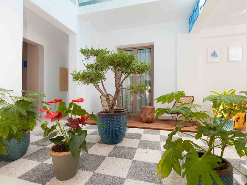 Serenity Blue 13 - Garden