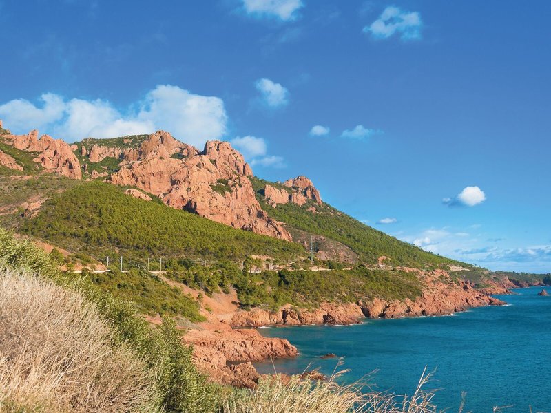 SOWELL Family Riviera 4