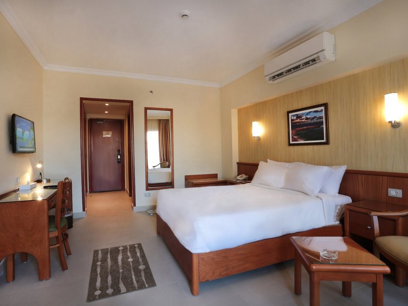The Grand Plaza Hotel 33 - Room Example