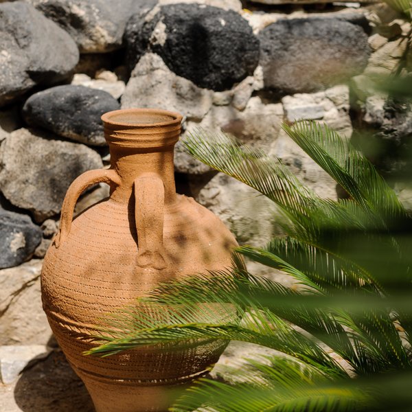 Afroditi Venus Beach Hotel & Spa 43