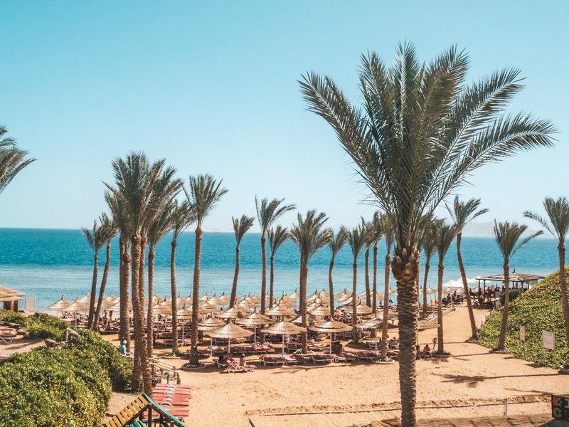 Nubian Island Hotel 9