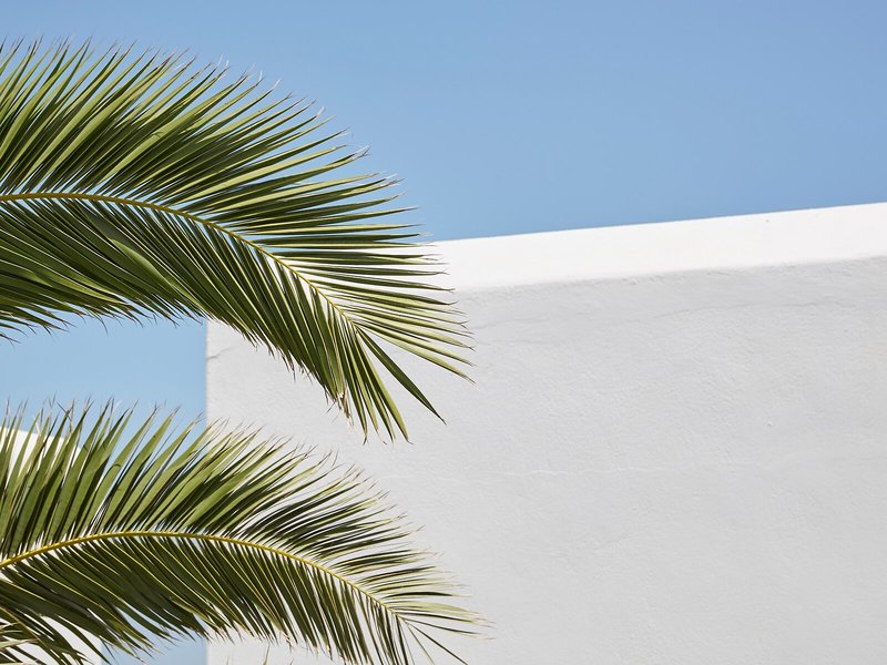 Naoussa Accommodation by Armelina 2