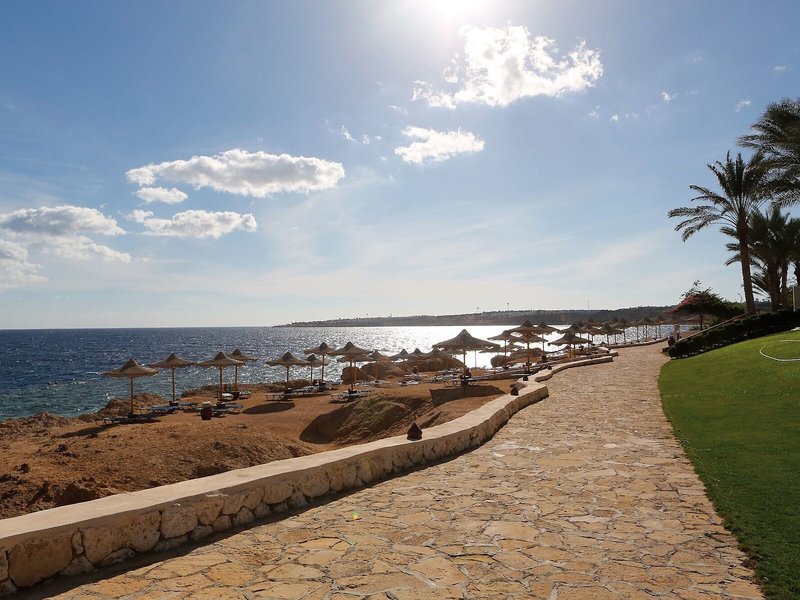 Sharm Club Beach Resort 13