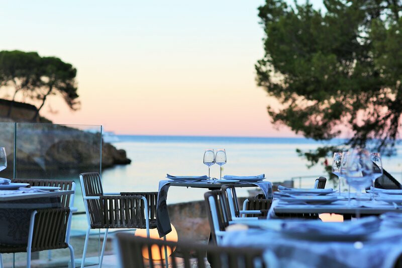 The Donna Portals 16