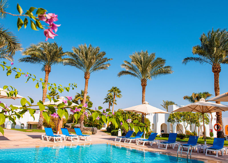Novotel Sharm El Sheikh Palm 6 - Outdoor Pool