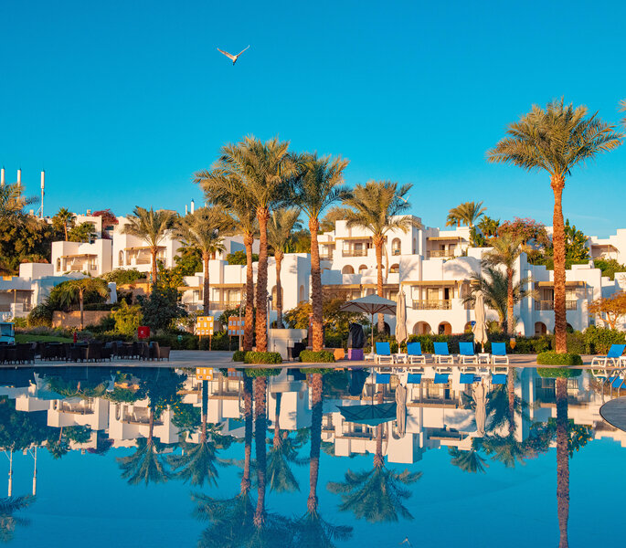 Novotel Sharm El Sheikh Palm 7 - Outdoor Pool