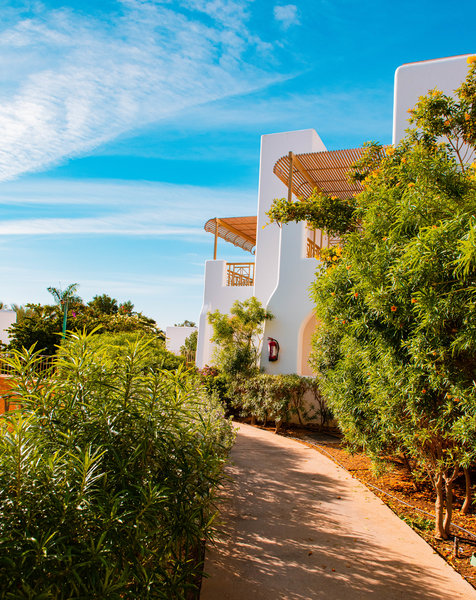 Novotel Sharm El Sheikh Palm 18 - Garden