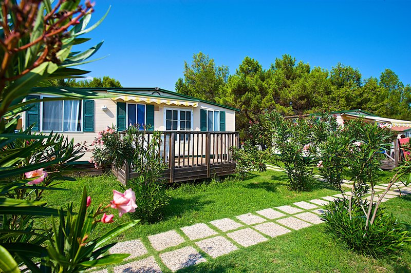 Arena Stupice Campsite 1