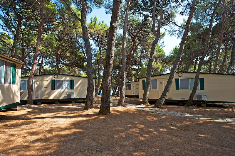 Arena Stupice Campsite 4