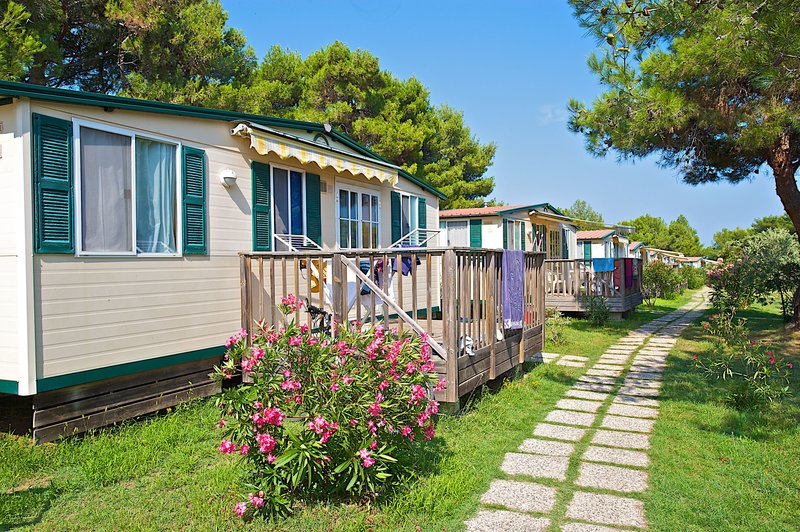 Arena Stupice Campsite 5