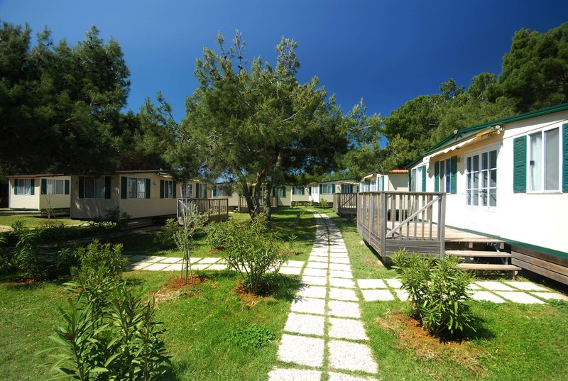 Arena Stupice Campsite 6