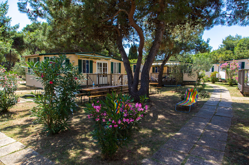 Arena Stupice Campsite 7