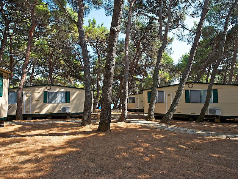Arena Stupice 5