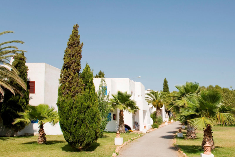 Cala Llenya Resort Ibiza 1