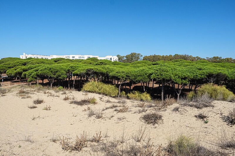 Estival Isla Cristina 29