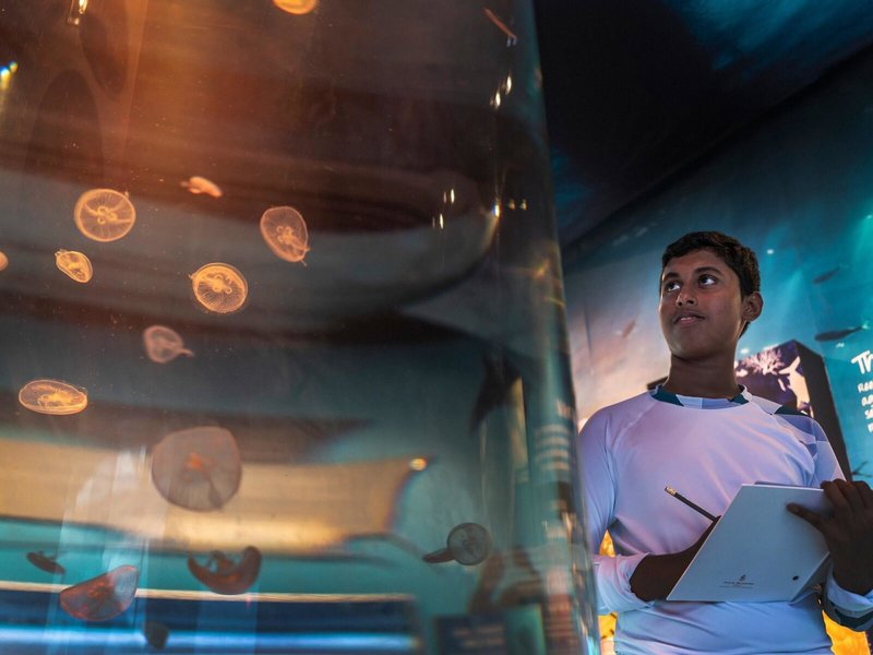 Four Seasons Resort Maldives at Landaa Giraavaru 27