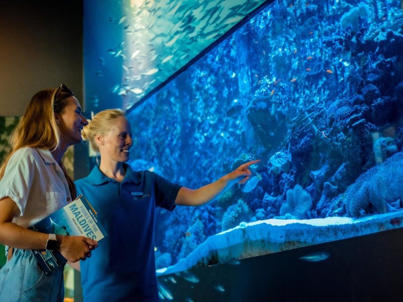 Four Seasons Resort Maldives at Landaa Giraavaru 29