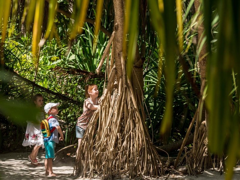 Four Seasons Resort Maldives at Landaa Giraavaru 44