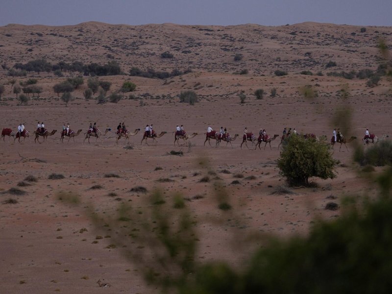 Al Maha, A Luxury Collection Desert Resort & Spa 11