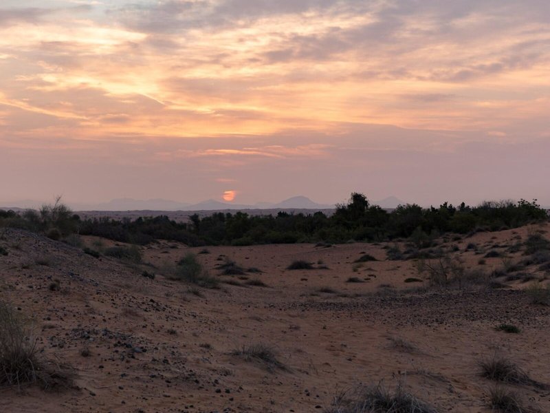 Al Maha, A Luxury Collection Desert Resort & Spa 12