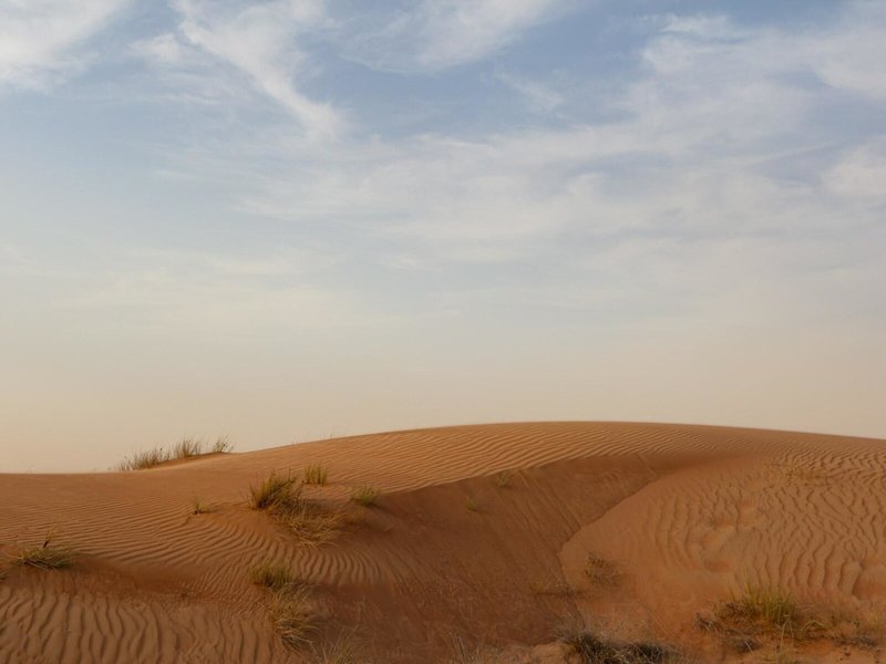 Al Maha, A Luxury Collection Desert Resort & Spa 13