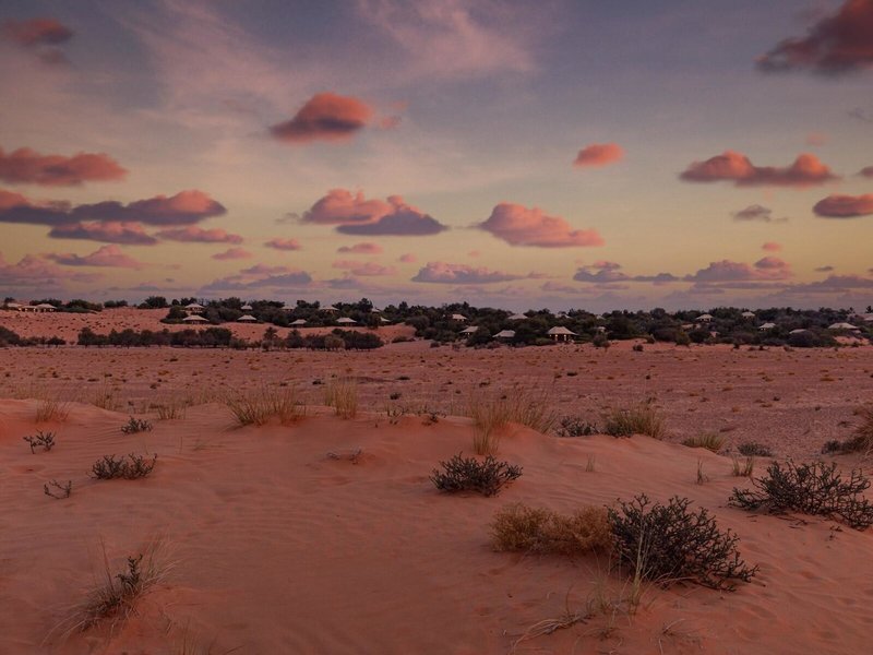 Al Maha, A Luxury Collection Desert Resort & Spa 14