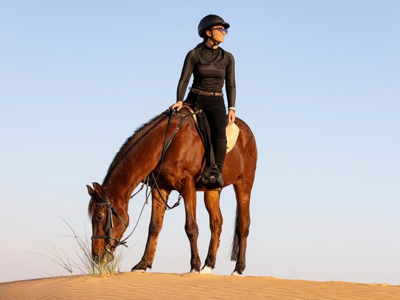 Al Maha, A Luxury Collection Desert Resort & Spa 32