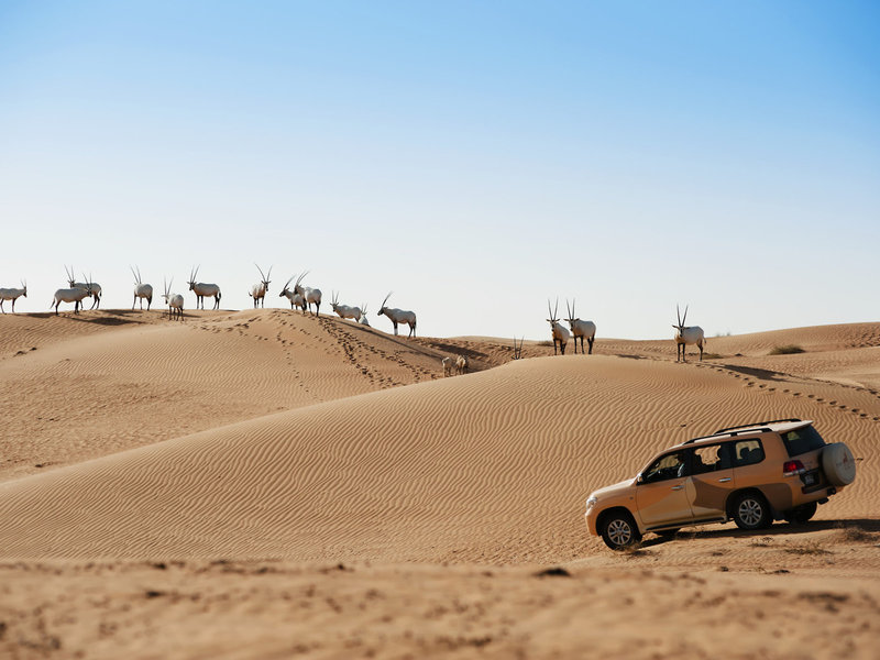 Al Maha, A Luxury Collection Desert Resort & Spa 33