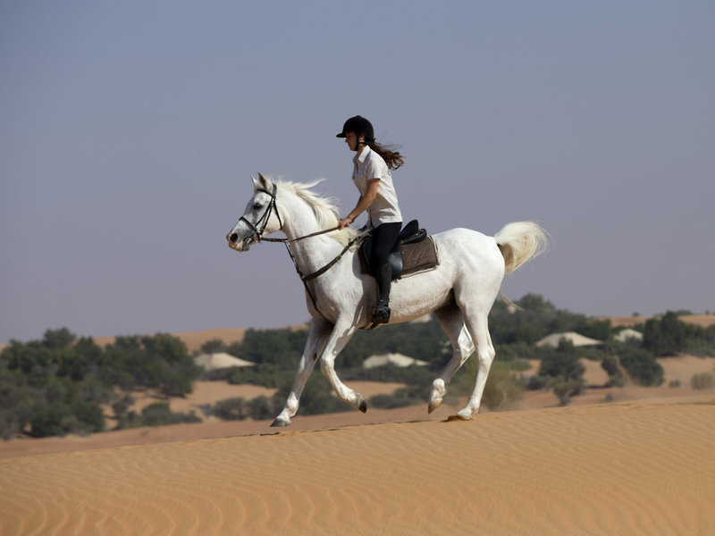 Al Maha, A Luxury Collection Desert Resort & Spa 34