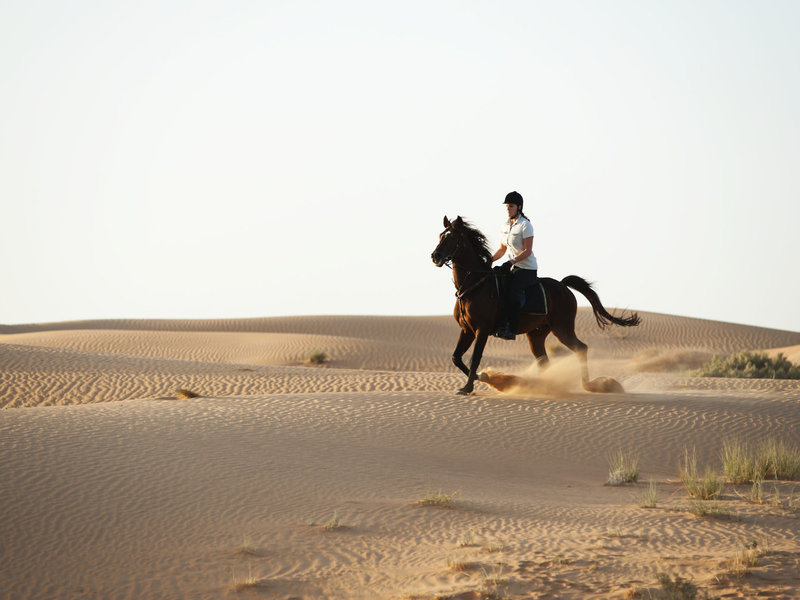 Al Maha, A Luxury Collection Desert Resort & Spa 37