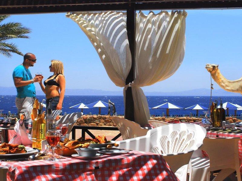 Tropitel Dahab Oasis 6