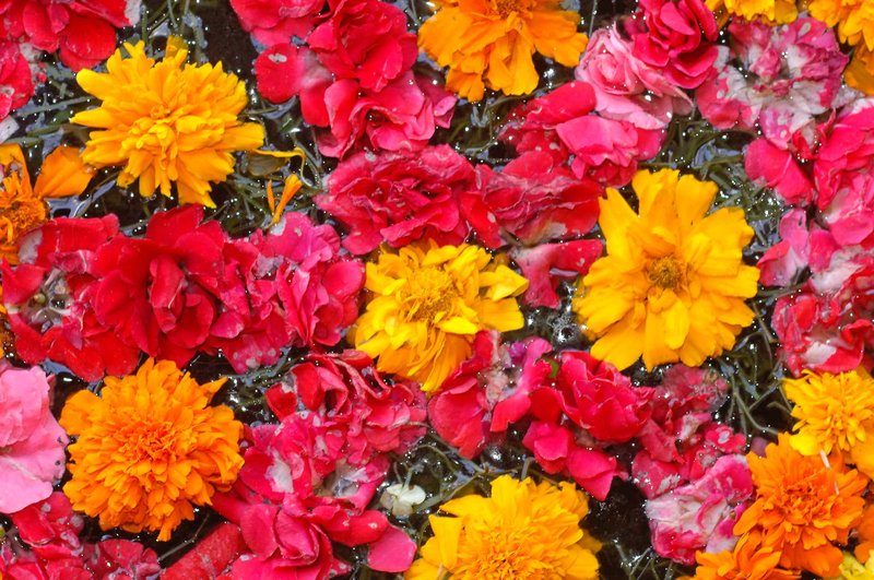 Alam Anda Ocean Front Resort & Spa 47