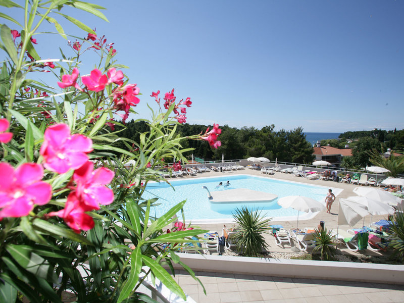 Zelena Resort - Hotel Albatros Plava Laguna 11