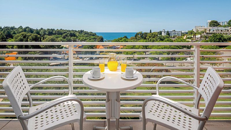 Hotel Albatros Plava Laguna 6