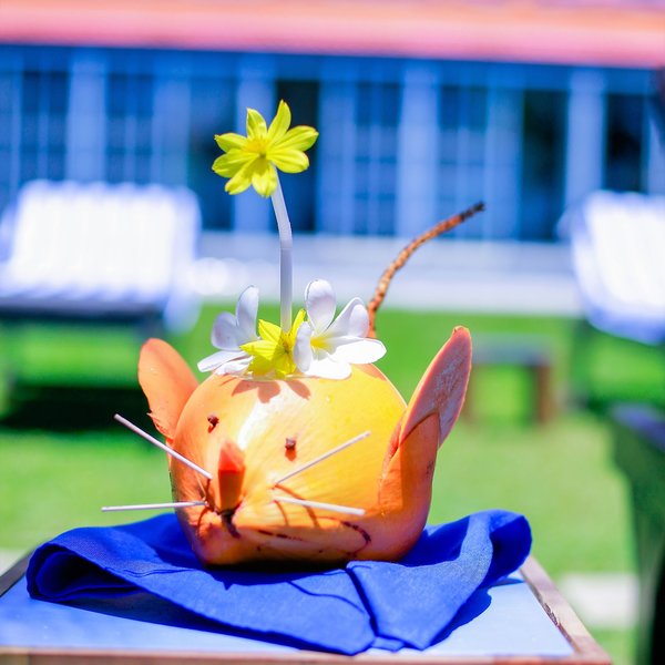 Hiru Beach Ayurveda Resort 27